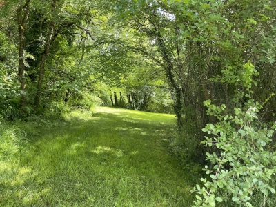 Restored 17th century farmhouse with gite, swimming pool and 8ha