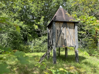 Restored 17th century farmhouse with gite, swimming pool and 8ha