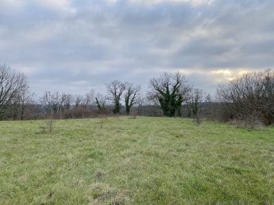 Ancien corps de ferme à restaurer avec 2.4 ha de terrain (disponible uniquement pour projet rural ou artisanal)