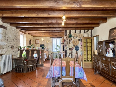 Attractive 19th century maison de maître with swimming pool and garden