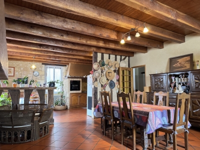 Attractive 19th century maison de maître with swimming pool and garden