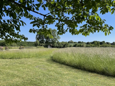 Renovated farmhouse with guest studio and 12ha