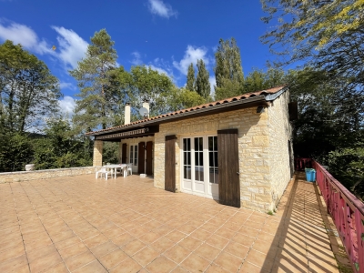 Maison moderne spacieuse avec un grand jardin