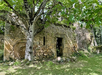 Attractive 16th century farmhouse with  walled garden