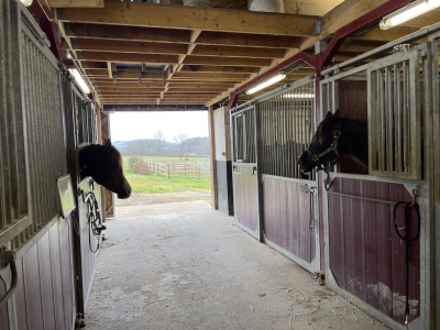 Restored farmhouse with 2 gites, extensive equestrian facilities, swimming pool and 23ha