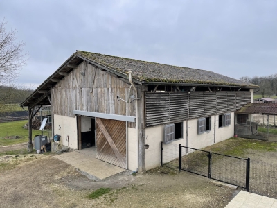 Restored farmhouse with 2 gites, extensive equestrian facilities, swimming pool and 23ha