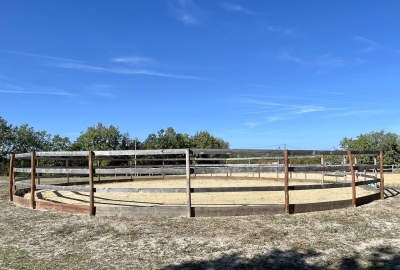 Superbly located equestrian property with 13ha
