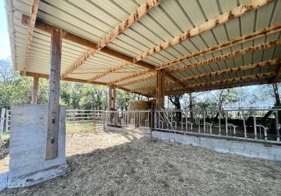 Superbly located equestrian property with 13ha