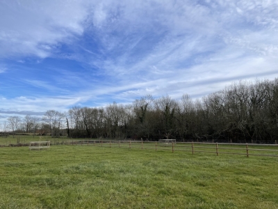 Restored farmhouse with 2 gites, extensive equestrian facilities, swimming pool and 23ha