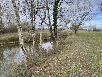 Restored farmhouse with 2 gites, extensive equestrian facilities, swimming pool and 23ha