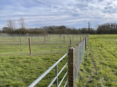 Restored farmhouse with 2 gites, extensive equestrian facilities, swimming pool and 23ha