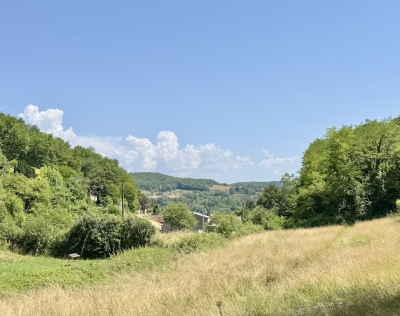 Attractive périgourdine cottage with guest studio, courtyard and garden