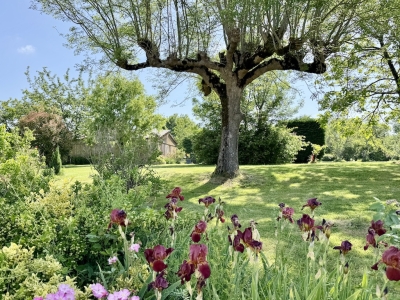 Attractive 19th century maison de maître with swimming pool and garden