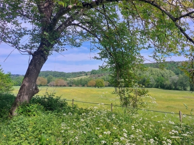 Exceptional 100ha Estate with Equestrian facilities, Tennis court, Swimming Pool and Gîtes