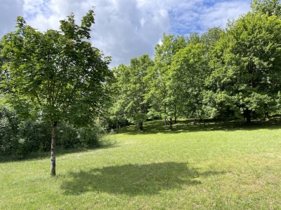 Ferme restaurée du XVIIème siècle avec un gîte, une piscine et 8 ha