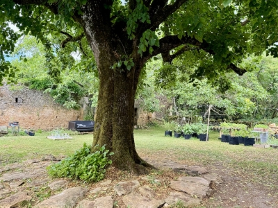 Belle ferme du XVIIIème siècle avec un jardin clos