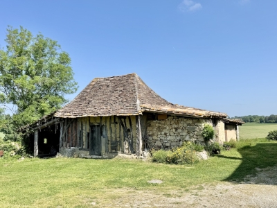 Attractive 19th century maison de maître with swimming pool and garden