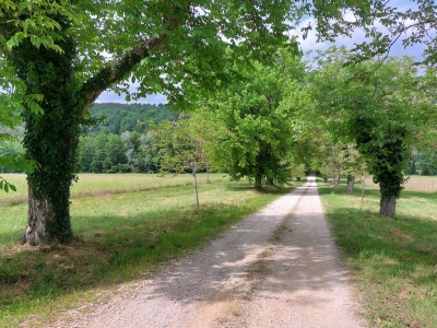 Exceptional 100ha Estate with Equestrian facilities, Tennis court, Swimming Pool and Gîtes