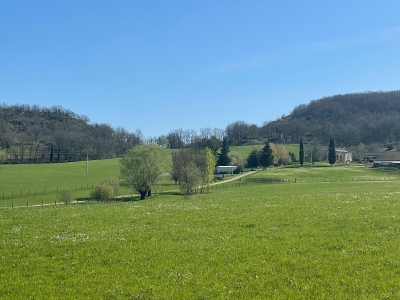 Superbly located domaine with gite, extensive equestrian facilities, swimming pool and 40ha