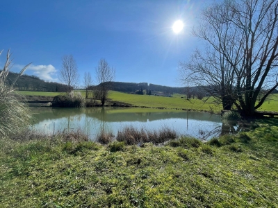 Superbly located domaine with gite, extensive equestrian facilities, swimming pool and 40ha