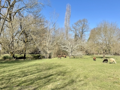 Two restored farmhouses with studio, outbuildings and 3ha