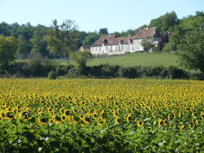 Exceptional 100ha Estate with Equestrian facilities, Tennis court, Swimming Pool and Gîtes