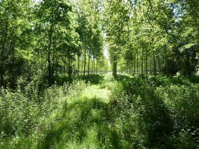 Exceptional 100ha Estate with Equestrian facilities, Tennis court, Swimming Pool and Gîtes