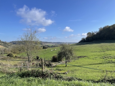 Exceptional 100ha Estate with Equestrian facilities, Tennis court, Swimming Pool and Gîtes