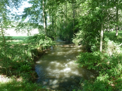 Exceptional 100ha Estate with Equestrian facilities, Tennis court, Swimming Pool and Gîtes