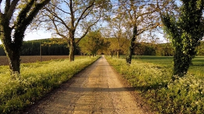 Exceptional 100ha Estate with Equestrian facilities, Tennis court, Swimming Pool and Gîtes
