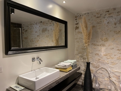 Exceptional maison de maître with 2 gites, 2 swimming pools and 5ha