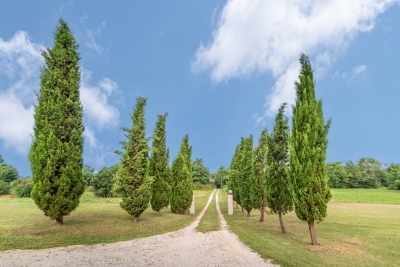 Grange aménagée, superbement restaurée, dotée de 5 chambres avec une piscine chauffée et 2 ha de jardins et de terrain